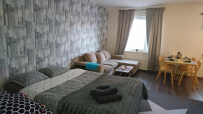 Vuoksi Apartment Imatra